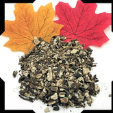Angelica Root  Pack
